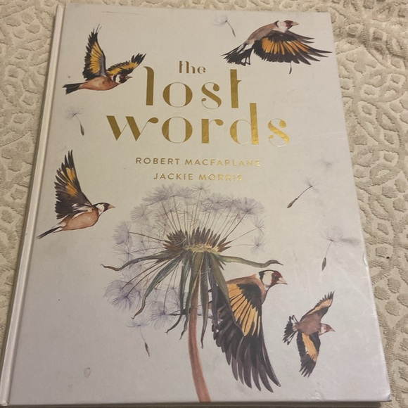The lost words a Spell Book Macfarlane & Jackie Morris book - Picture 2 of 5
